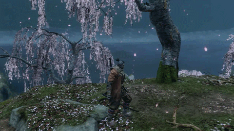 旋风斩.gif