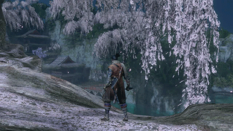 寄鹰斩.gif