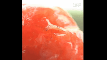 soogif.gif